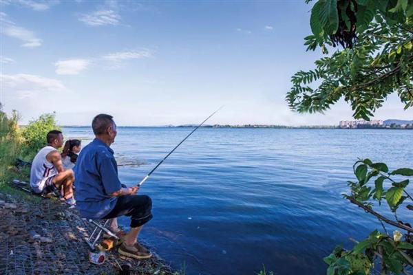 秋冬季节钓鲫鱼用什么饵料,选择腥味饵料更容易吸引鲫鱼