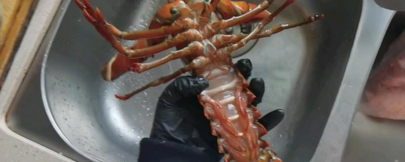 吃龙虾是不是一定要放虾尿，不清理尿液会影响口感