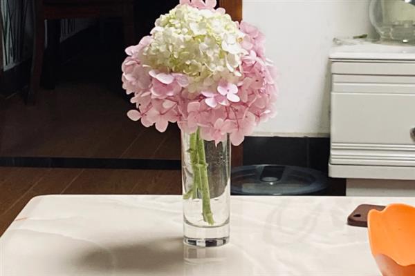 绣球花怎么醒花，需选择容积较大的木桶作为容器