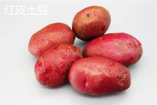 马铃薯的品种有哪些，常见的有红皮土豆、夏波蒂土豆等