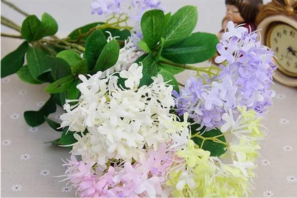 夕雾花的别名是什么,别名是喉管花、疗喉草等