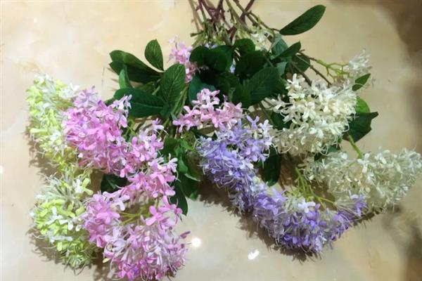 夕雾花的别名是什么,别名是喉管花、疗喉草等