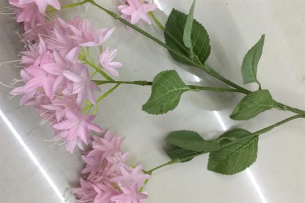 夕雾花的别名是什么,别名是喉管花、疗喉草等