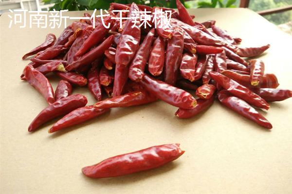 哪些辣椒品种可以赚钱，以下7个品种值得考虑
