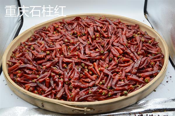 哪些辣椒品种可以赚钱，以下7个品种值得考虑