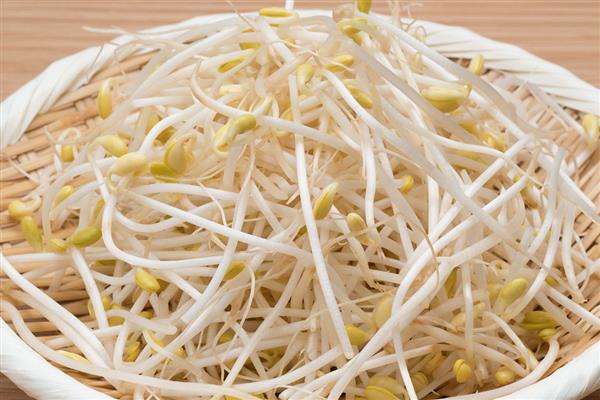 什么蔬菜完全不需要阳光，常见韭菜、蘑菇、豆芽等品种