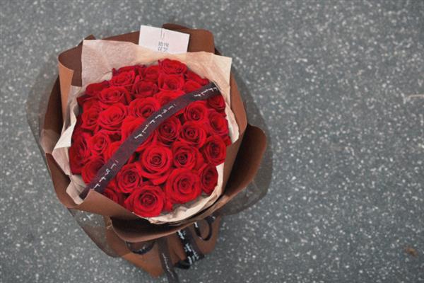 红玫瑰的象征意义，象征爱情
