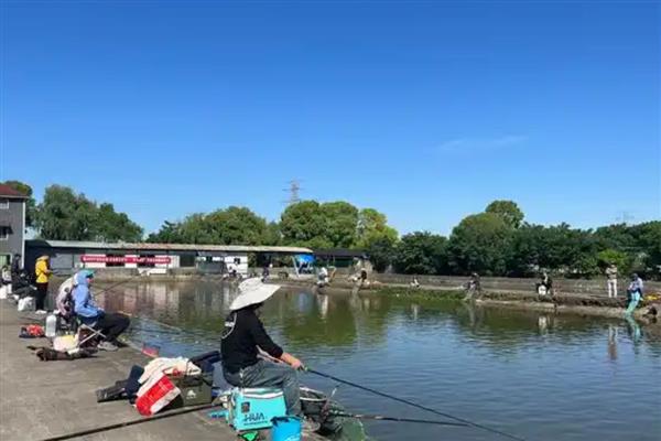深秋钓鱼是深水好还是浅水好，钓深水好