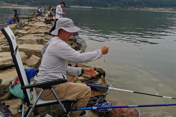 深秋钓鱼是深水好还是浅水好，钓深水好