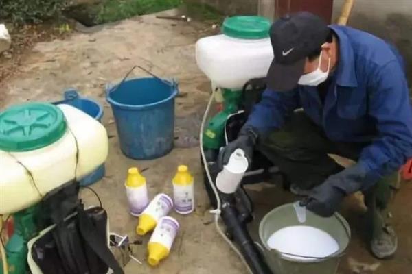 种棉花在什么情况下会浪费农药，以下5种情况容易发生