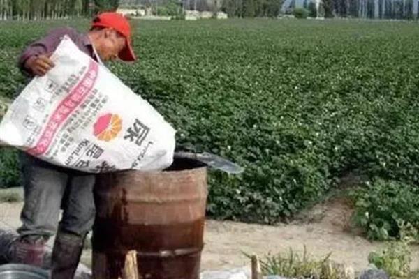 种棉花在什么情况下会浪费农药，以下5种情况容易发生