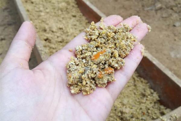 如何垂钓土鲮鱼，常采取台钓法、跑铅钓和竖铅钓