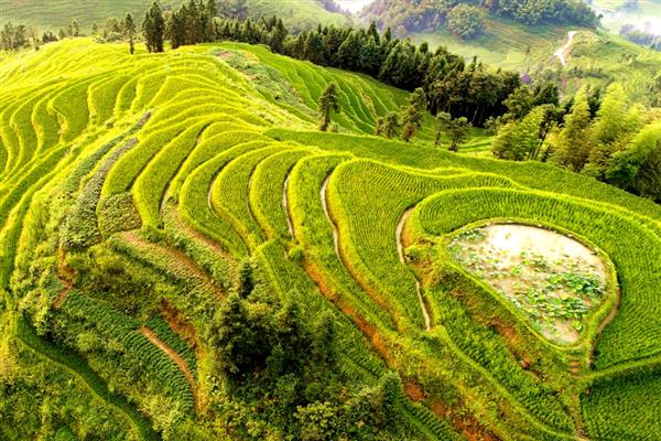紫鹊界梯田适合什么时候观赏，秋季是最佳观赏季节