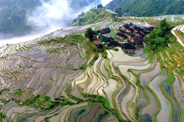 紫鹊界梯田适合什么时候观赏，秋季是最佳观赏季节