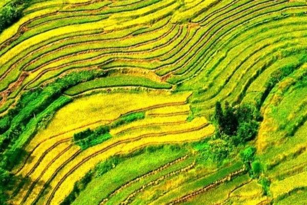 紫鹊界梯田适合什么时候观赏，秋季是最佳观赏季节