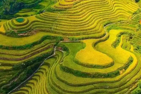 紫鹊界梯田适合什么时候观赏，秋季是最佳观赏季节