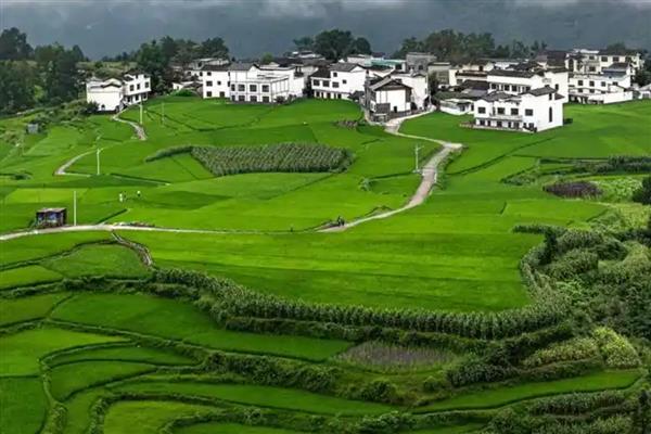 紫鹊界梯田适合什么时候观赏，秋季是最佳观赏季节