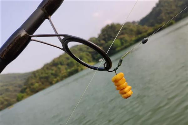 钓草鱼是钓底还是钓浮好,钓底是主流的钓法