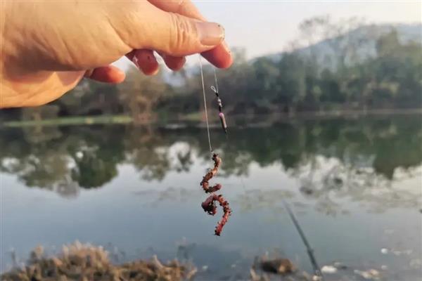 钓草鱼是钓底还是钓浮好,钓底是主流的钓法