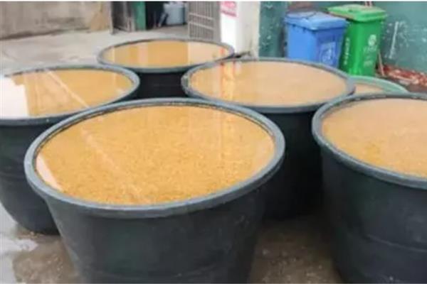 水稻育苗怎么确定播种量，要从季节、秧龄、播种方式等方面去考虑