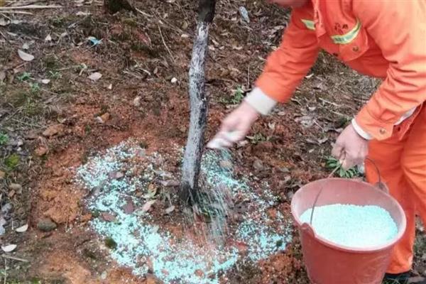 施复合肥有哪些注意事项，高浓度复合肥主要用在经济作物上