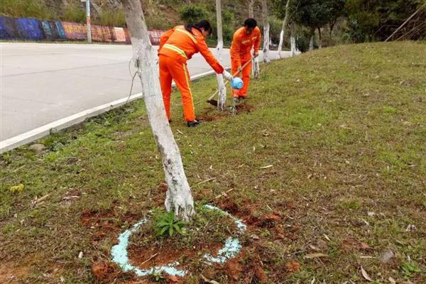 施复合肥有哪些注意事项，高浓度复合肥主要用在经济作物上