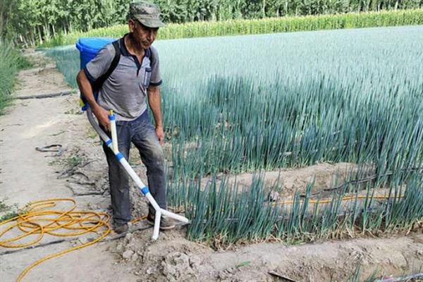 大葱烂根发臭的原因，大多是重茬连作、根部积水、病害侵袭等因素所致