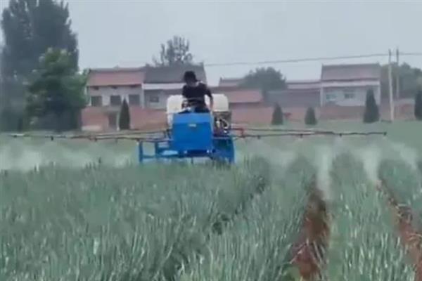 大葱烂根发臭的原因，大多是重茬连作、根部积水、病害侵袭等因素所致