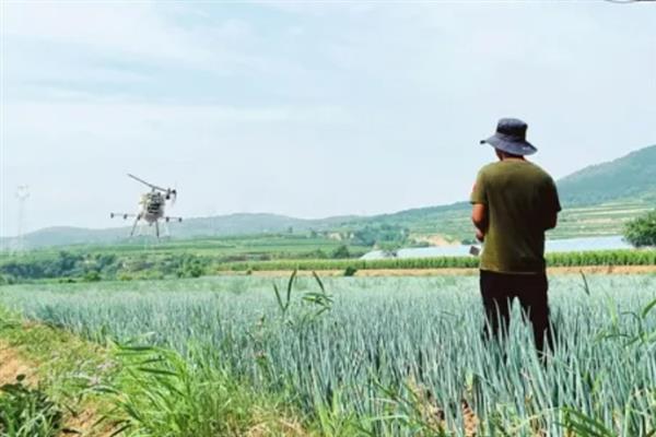 大葱烂根发臭的原因，大多是重茬连作、根部积水、病害侵袭等因素所致