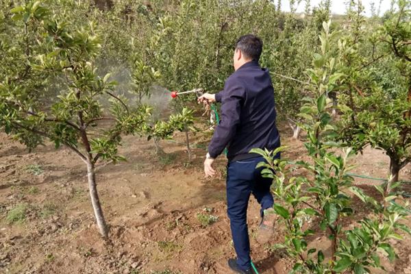 果树怎么防虫，根据害虫类型喷施对应药物