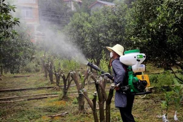 果树怎么防虫，根据害虫类型喷施对应药物