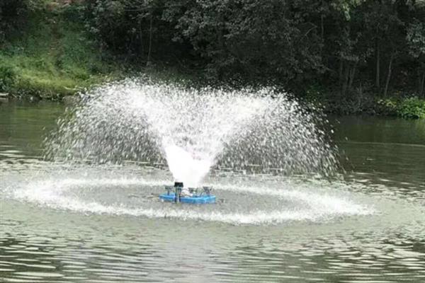 小型鱼池要增氧吗，是需要增氧的