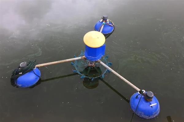 小型鱼池要增氧吗，是需要增氧的