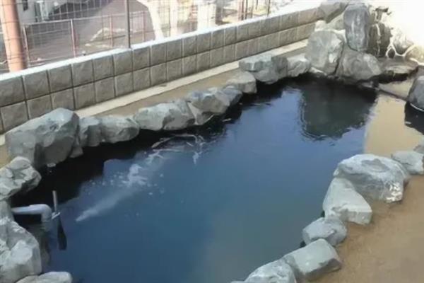 小型鱼池要增氧吗，是需要增氧的