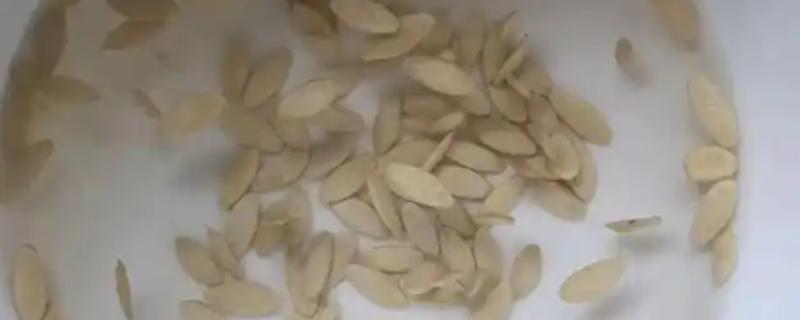 蔬菜种子怎么防治病菌，根据防治对象用不同的药物浸种