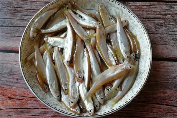 钓海鲈鱼的方法，主要采取以下3种方式