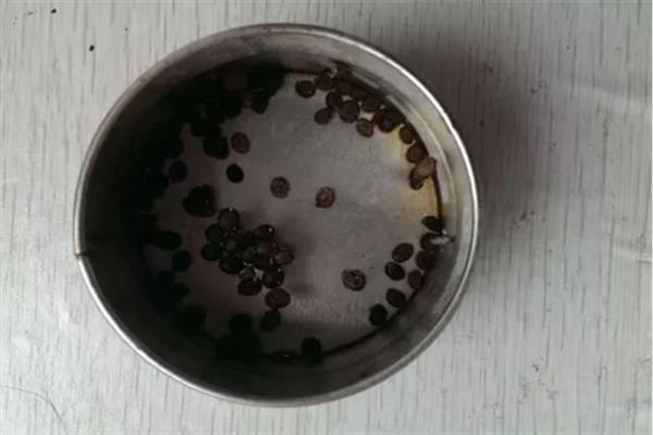 蔬菜种子怎么防治病菌，根据防治对象用不同的药物浸种