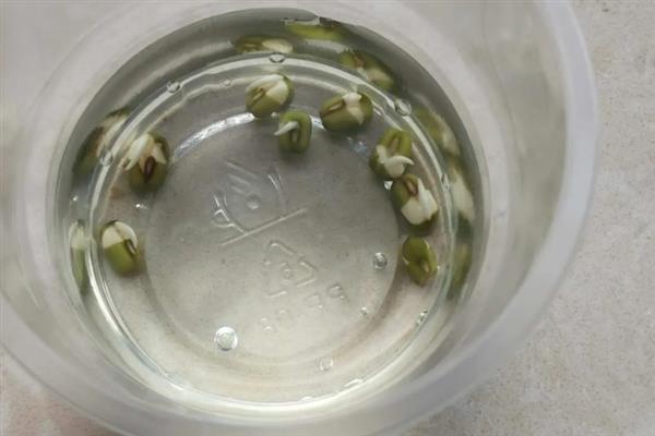 蔬菜种子怎么防治病菌，根据防治对象用不同的药物浸种
