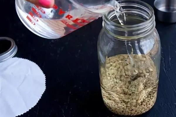 蔬菜种子怎么防治病菌，根据防治对象用不同的药物浸种