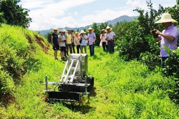 果农为什么要种草，有改良土壤的作用