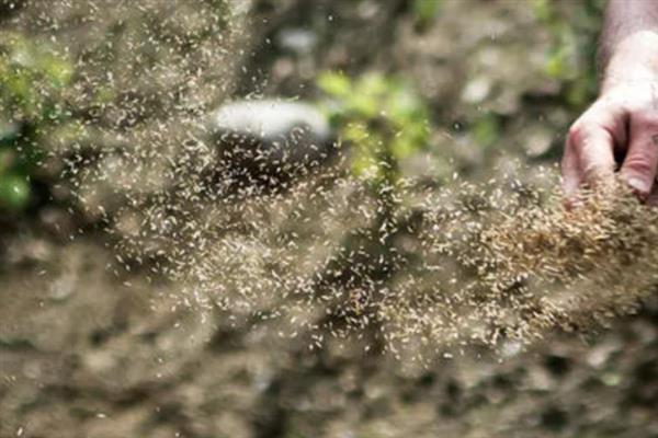 果农为什么要种草，有改良土壤的作用