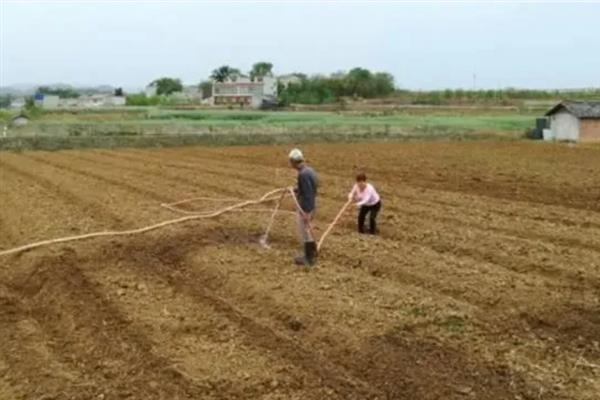 果农为什么要种草，有改良土壤的作用
