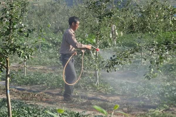 生物农药的简介,是指利用生物活体或代谢产物去杀灭、抑制有害生物的制剂