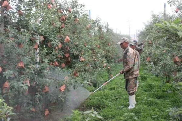 生物农药的简介,是指利用生物活体或代谢产物去杀灭、抑制有害生物的制剂