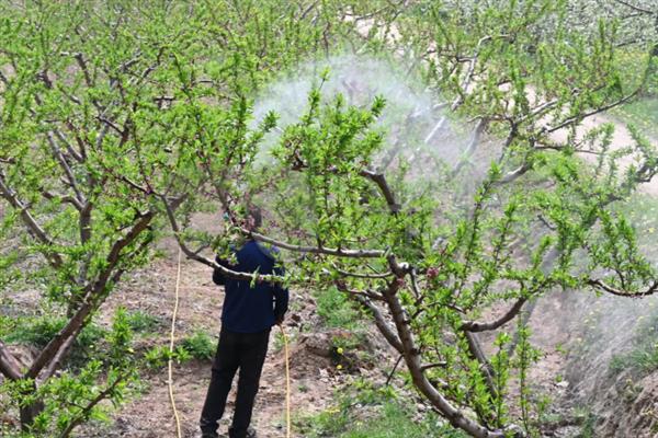 生物农药的简介,是指利用生物活体或代谢产物去杀灭、抑制有害生物的制剂