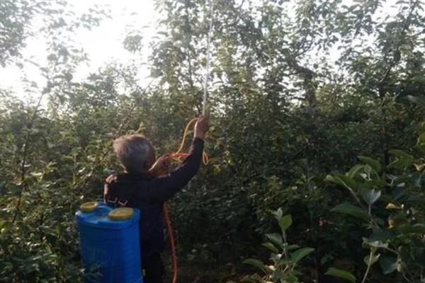 生物农药的简介,是指利用生物活体或代谢产物去杀灭、抑制有害生物的制剂