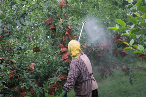 生物农药的简介,是指利用生物活体或代谢产物去杀灭、抑制有害生物的制剂