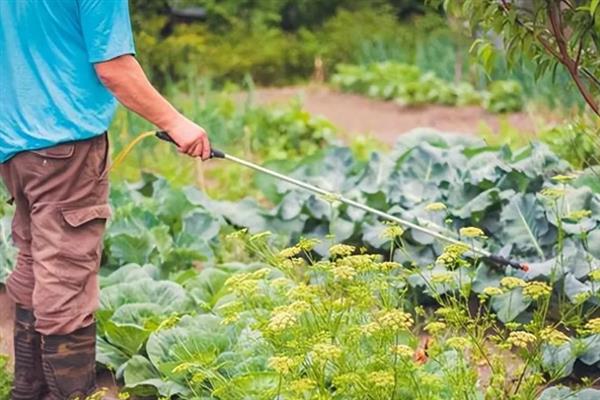 生物农药的简介,是指利用生物活体或代谢产物去杀灭、抑制有害生物的制剂