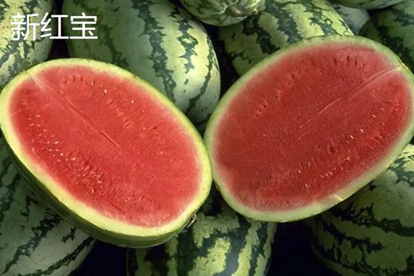 哪种西瓜品种好吃又甜，推荐麒麟西瓜、安农二号等