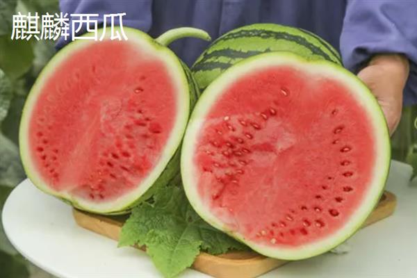 哪种西瓜品种好吃又甜，推荐麒麟西瓜、安农二号等